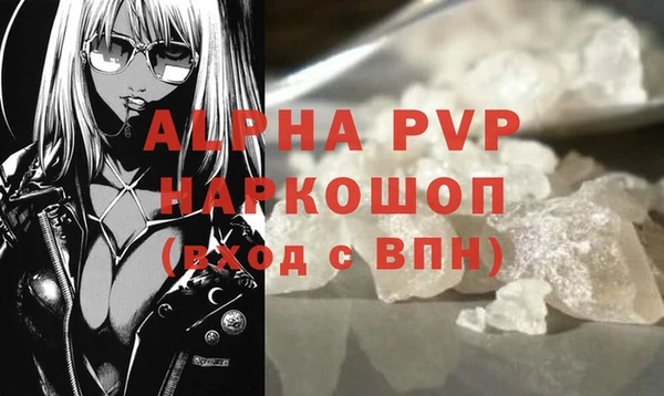 ПСИЛОЦИБИНОВЫЕ ГРИБЫ Тайга