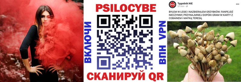 это какой сайт  Новомичуринск  Галлюциногенные грибы мицелий 